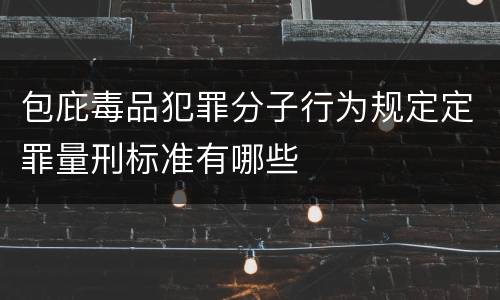 包庇毒品犯罪分子行为规定定罪量刑标准有哪些