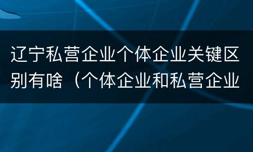 辽宁私营企业个体企业关键区别有啥（个体企业和私营企业的区别）