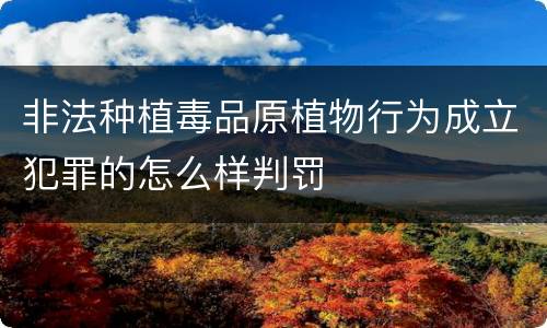 非法种植毒品原植物行为成立犯罪的怎么样判罚
