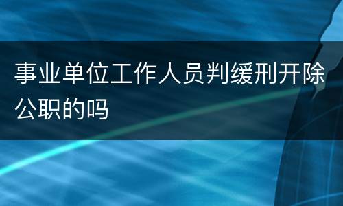 事业单位工作人员判缓刑开除公职的吗
