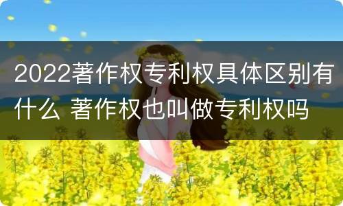 2022著作权专利权具体区别有什么 著作权也叫做专利权吗