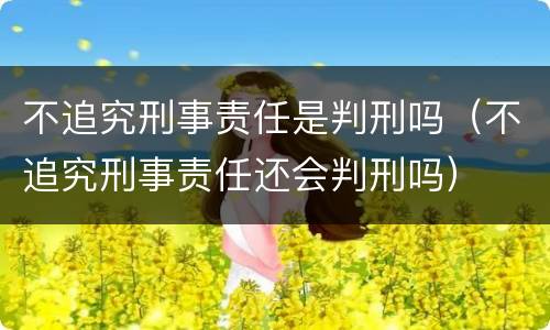 不追究刑事责任是判刑吗（不追究刑事责任还会判刑吗）