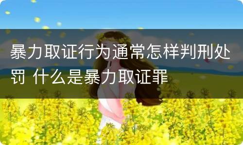 暴力取证行为通常怎样判刑处罚 什么是暴力取证罪
