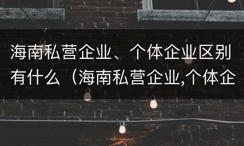 海南私营企业、个体企业区别有什么（海南私营企业,个体企业区别有什么特点）