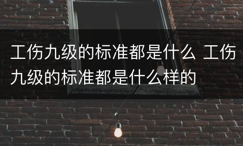 工伤九级的标准都是什么 工伤九级的标准都是什么样的