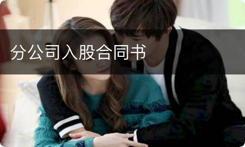 分公司入股合同书