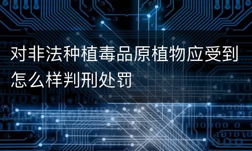 对非法种植毒品原植物应受到怎么样判刑处罚