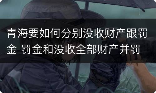 青海要如何分别没收财产跟罚金 罚金和没收全部财产并罚