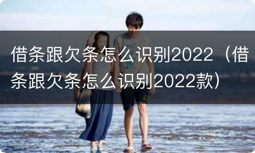 借条跟欠条怎么识别2022（借条跟欠条怎么识别2022款）