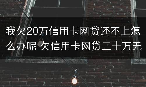 我欠20万信用卡网贷还不上怎么办呢 欠信用卡网贷二十万无力偿还