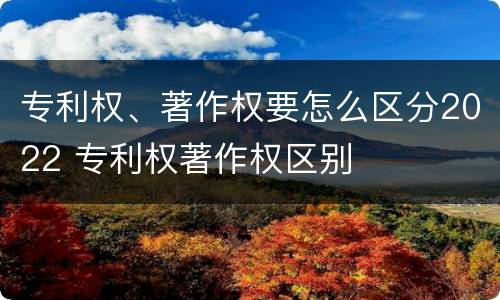 专利权、著作权要怎么区分2022 专利权著作权区别