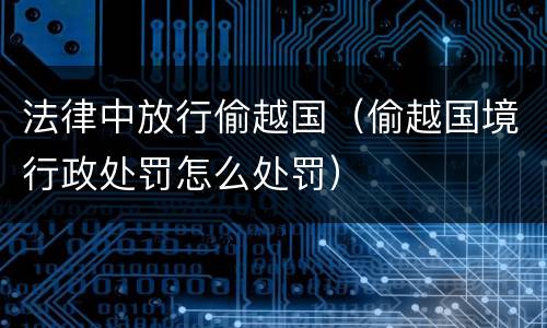 法律中放行偷越国（偷越国境行政处罚怎么处罚）