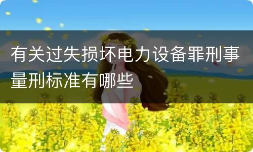 有关过失损坏电力设备罪刑事量刑标准有哪些