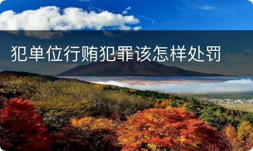 犯单位行贿犯罪该怎样处罚