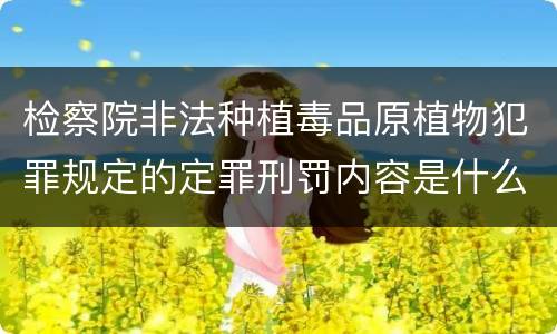 检察院非法种植毒品原植物犯罪规定的定罪刑罚内容是什么