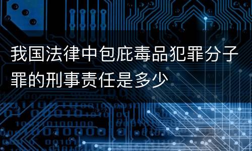 我国法律中包庇毒品犯罪分子罪的刑事责任是多少