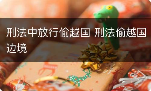 刑法中放行偷越国 刑法偷越国边境