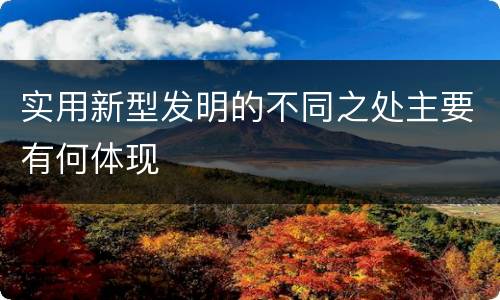 实用新型发明的不同之处主要有何体现