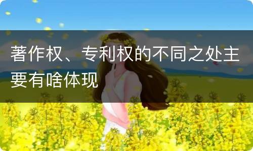 著作权、专利权的不同之处主要有啥体现