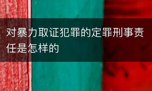 对暴力取证犯罪的定罪刑事责任是怎样的