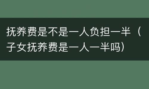 抚养费是不是一人负担一半（子女抚养费是一人一半吗）
