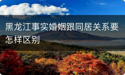 黑龙江事实婚姻跟同居关系要怎样区别