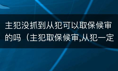 主犯没抓到从犯可以取保候审的吗（主犯取保候审,从犯一定也可以取保候审吗）