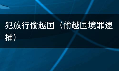 犯放行偷越国（偷越国境罪逮捕）