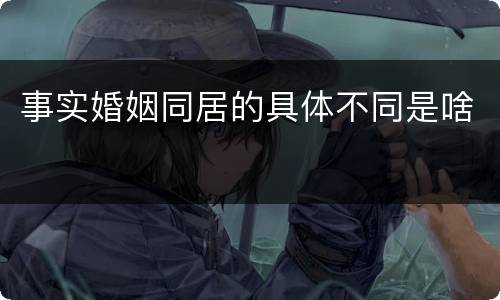 事实婚姻同居的具体不同是啥