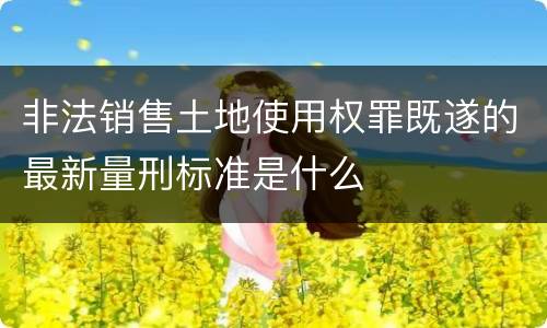 非法销售土地使用权罪既遂的最新量刑标准是什么