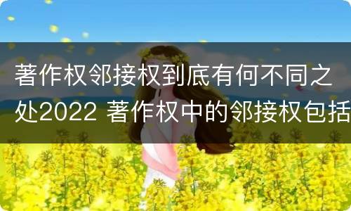 著作权邻接权到底有何不同之处2022 著作权中的邻接权包括哪些