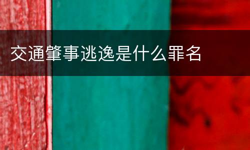 交通肇事逃逸是什么罪名