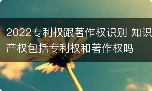 2022专利权跟著作权识别 知识产权包括专利权和著作权吗