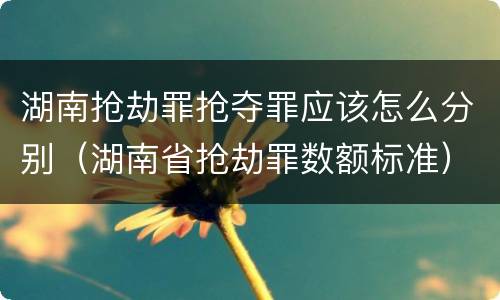 湖南抢劫罪抢夺罪应该怎么分别（湖南省抢劫罪数额标准）