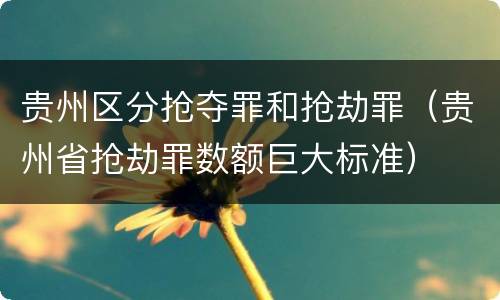 贵州区分抢夺罪和抢劫罪（贵州省抢劫罪数额巨大标准）