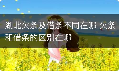 湖北欠条及借条不同在哪 欠条和借条的区别在哪