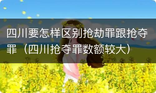 四川要怎样区别抢劫罪跟抢夺罪（四川抢夺罪数额较大）