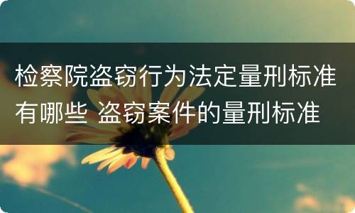 检察院盗窃行为法定量刑标准有哪些 盗窃案件的量刑标准