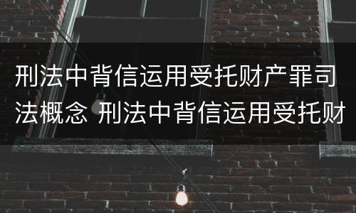 刑法中背信运用受托财产罪司法概念 刑法中背信运用受托财产罪司法概念的条款
