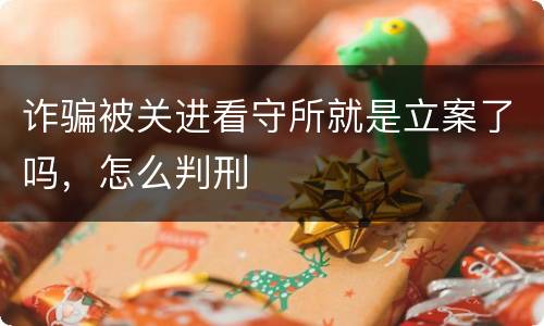 诈骗被关进看守所就是立案了吗，怎么判刑