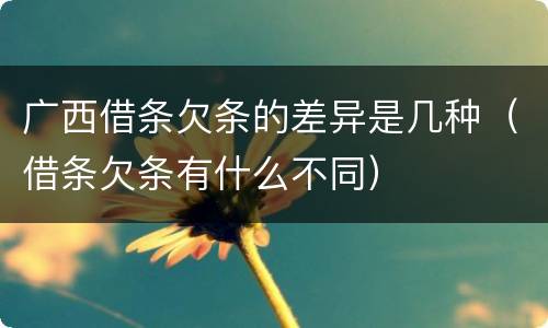 广西借条欠条的差异是几种（借条欠条有什么不同）