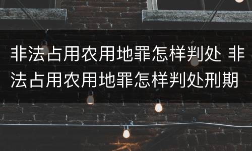 非法占用农用地罪怎样判处 非法占用农用地罪怎样判处刑期