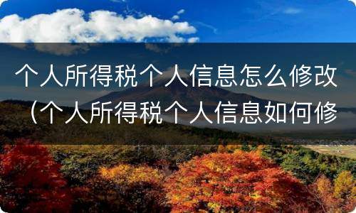 个人所得税个人信息怎么修改（个人所得税个人信息如何修改）