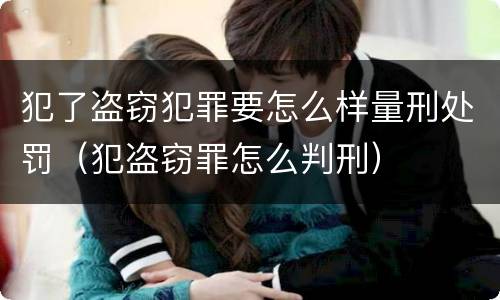 犯了盗窃犯罪要怎么样量刑处罚（犯盗窃罪怎么判刑）