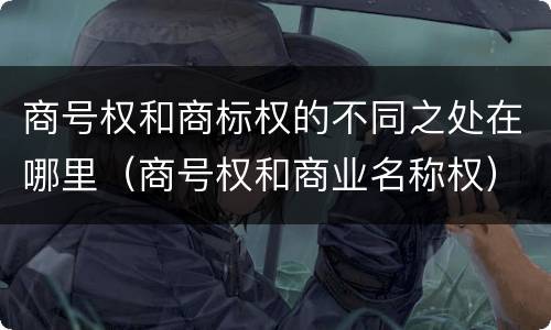商号权和商标权的不同之处在哪里（商号权和商业名称权）