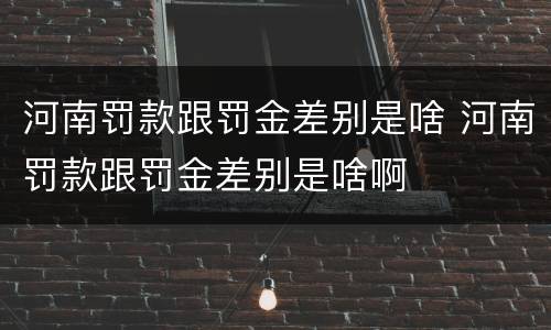 河南罚款跟罚金差别是啥 河南罚款跟罚金差别是啥啊