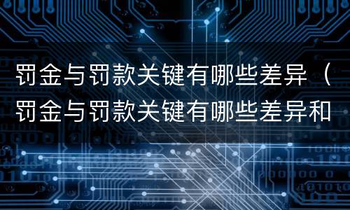 罚金与罚款关键有哪些差异（罚金与罚款关键有哪些差异和不足）