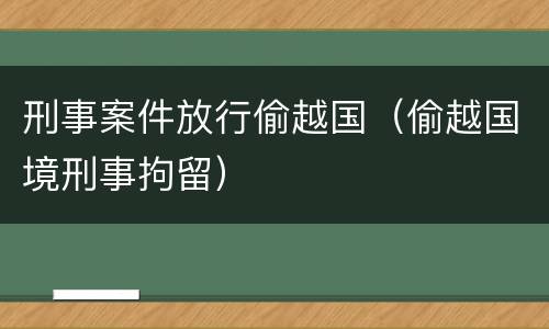 刑事案件放行偷越国（偷越国境刑事拘留）