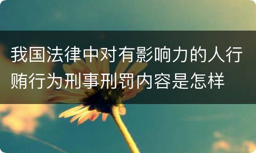 我国法律中对有影响力的人行贿行为刑事刑罚内容是怎样