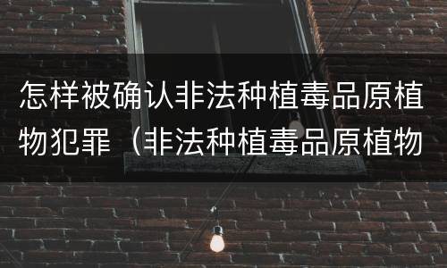 怎样被确认非法种植毒品原植物犯罪（非法种植毒品原植物罪情节严重）
